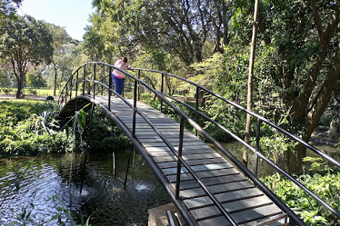Puente en laguna natural
